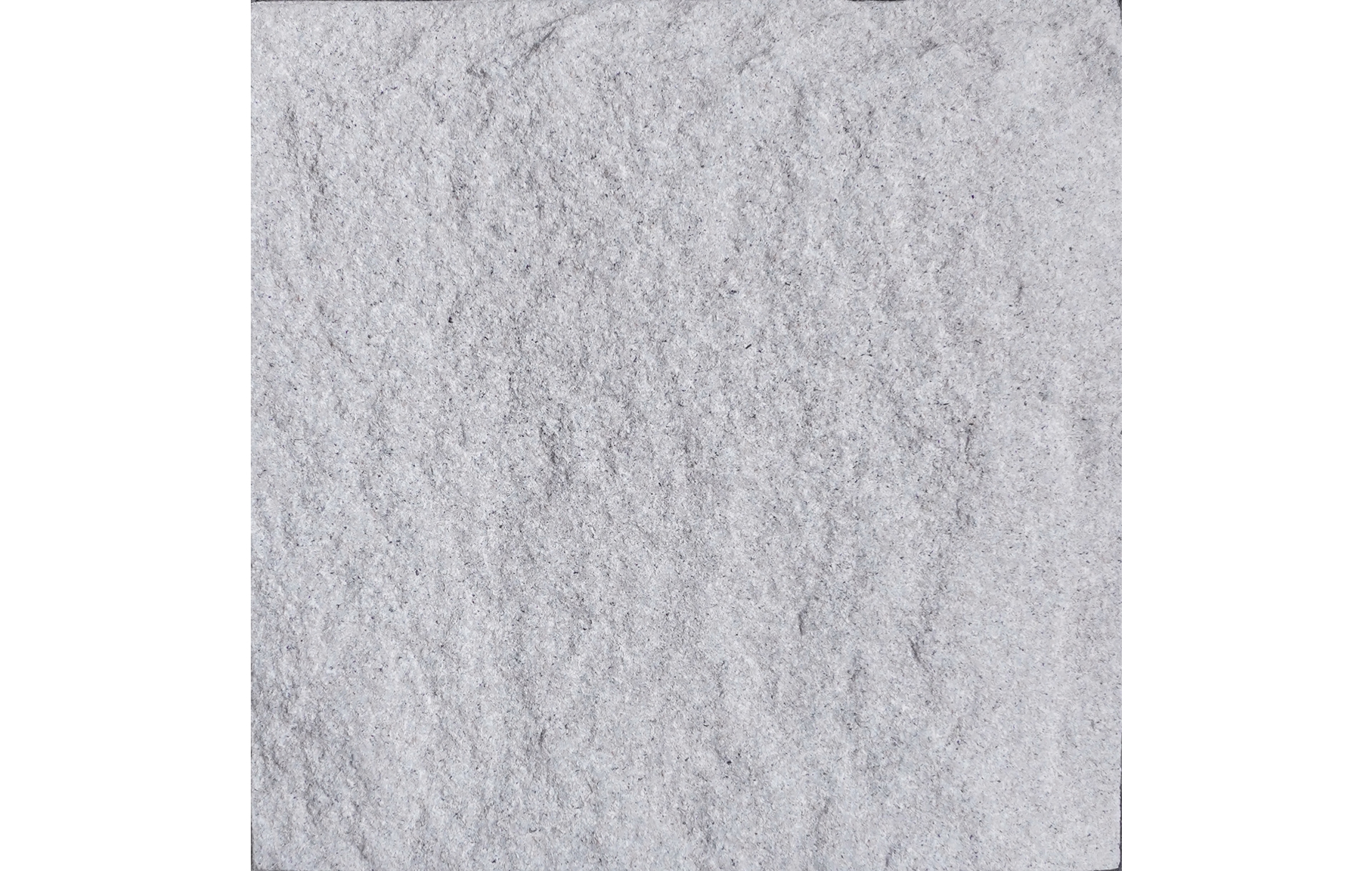 SS02-BM103