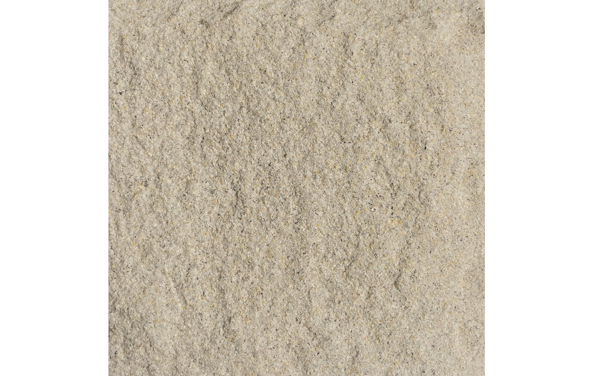 SS02-BM106